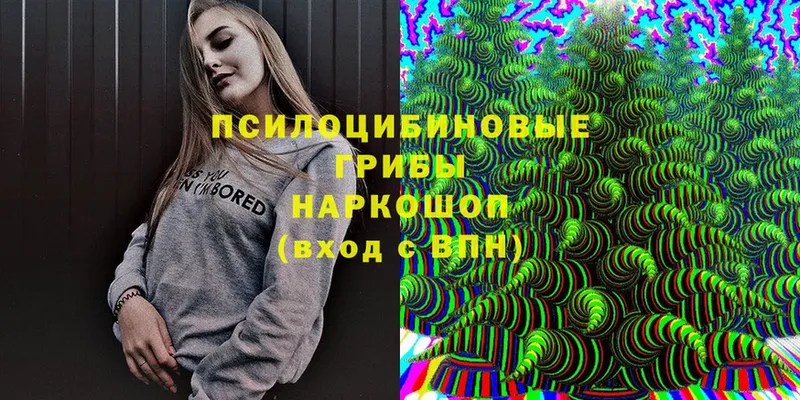 Псилоцибиновые грибы Psilocybine cubensis  Верхняя Пышма 